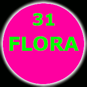 31-FLORA (40K)